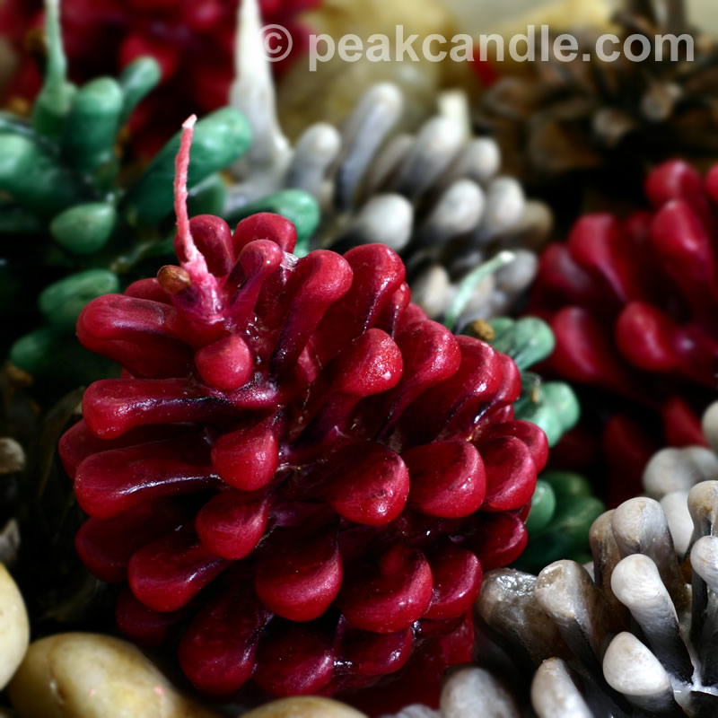 Pine Cone Firestarters